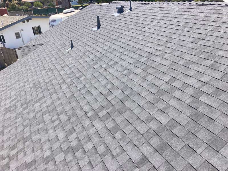 Shingle Roof